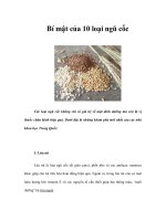 Tài liệu Bí mật của 10 loại ngũ cốc docx