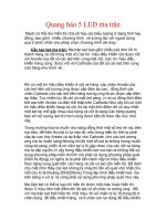 Tài liệu Quang báo 5 LED ma trận pptx