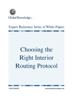 Tài liệu Choose Routing Protocol pptx