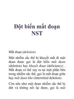 Tài liệu Đột biến mất đoạn NST ppt