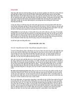 Tài liệu Chi phí biên docx