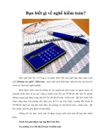 Tài liệu Bạn biết gì về nghề kiểm toán? docx