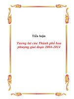 Tài liệu Tiểu luận Tương lai của Thành phố hoa phượng giai đoạn 2004-2014 doc