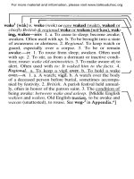 Tài liệu Essential guide to writing part 23 pdf