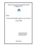 Văn hoá doanh nghiệp – nghiên cứu tại ngân hàng á châu ACB 