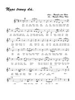 Tài liệu Bài hát ngọc trong đá - Nguyễn Văn Hiên (lời bài hát có nốt) pdf