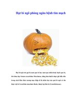 Tài liệu Hạt bí ngô phòng ngừa bệnh tim mạch pptx