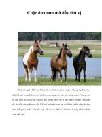 Tài liệu Cuộc đua tam mã đầy thú vị ppt