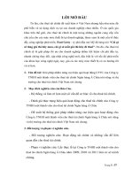 Giải pháp nhằm nâng cao hiệu quả hoạt động CTTC của công ty TNHH một thành viên cho thuê tài chính ngân hàng á châu nói riêng và thị trường cho thuê tài chính việt nam nói chung  