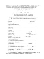 Tài liệu Mẫu đề nghị cấp lại giấy phép lao động pdf