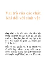 Tài liệu Vai trò của các chất khí đối với sinh vật pdf