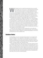 Tài liệu MASTERING SQL SERVER 2000- P9 pdf