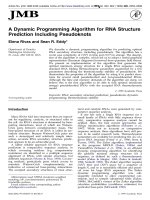 A dynamic programming algorithm for RNA structure 