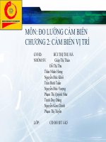 cảm biến vị trí