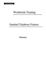 Tài liệu Worldwide Training pptx