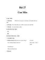 Tài liệu Tự nhiên xã hội 1 - Bài 27, 28 pdf