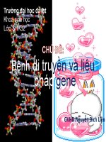 Tài liệu Bài thuyết trình Bệnh di truyền và liệu pháp gene ppt