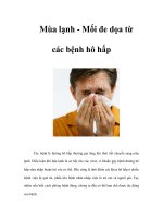 Tài liệu Mùa lạnh - Mối đe dọa từ các bệnh hô hấp docx