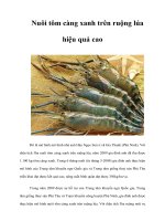 Tài liệu Nuôi tôm càng xanh trên ruộng lúa hiệu quả cao pptx