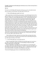 Tài liệu BAI TAP KHOA HOC TRAI DAT pdf