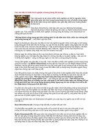 Tài liệu Các nhà đầu tư thiếu kinh nghiệm và bong bóng thị trường ppt