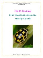 Tài liệu Chủ đề: Côn trùng - Đề tài: Vòng đời phát triển của Sâu - Nhóm lớp: Lớp Chồi docx