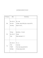 Tài liệu Gíao án tuần 20 docx