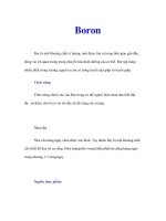 Tài liệu Boron pptx