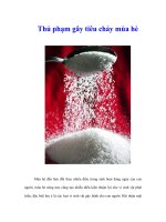 Tài liệu Thủ phạm gây tiêu chảy mùa hè pdf