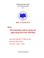 Tiểu luận Chính sách kiểm soát tín dụng của ngân hàng nhà nước Việt Nam