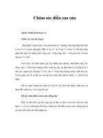 Tài liệu Chăm sóc điều cao sản docx