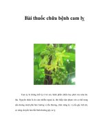 Tài liệu Bài thuốc chữa bệnh cam lỵ docx