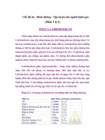 Tài liệu Chế độ ăn - Dinh dưỡng - Tập luyện cho người bệnh gan (Phần 3 & 4) doc