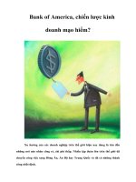 Tài liệu Bank of America, chiến lược kinh doanh mạo hiểm? pptx