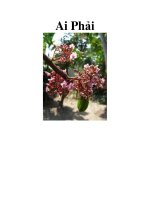 Tài liệu Ai Phải .Ngót một tháng nay, Khoản trông có dáng băn khoăn, tư lự. Chiều nào docx