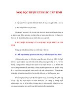 Tài liệu NGỘ ĐỘC RƯỢU ETHYLIC CẤP TÍNH doc