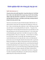 Tài liệu Kinh nghiệm diệt côn trùng gây hại gia súc pdf