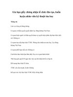 Tài liệu Gia hạn giấy chứng nhận tổ chức đào tạo, huấn luyện nhân viên kỹ thuật tàu bay pdf