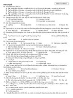 Tài liệu Ngân hàng câu hỏi Tin Học 12 - Mã đề: 12010809t1 pdf