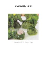 Tài liệu Chả Bò Hấp Lá Bí pdf