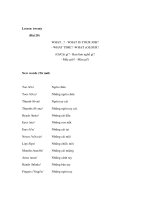 Tài liệu Tiếng Anh lớp 1, 2 - Lesson twenty (Bài 20) WHAT...? - WHAT IS YOUR JOB? - WHAT TIME? - WHAT cOLOUR? ppt