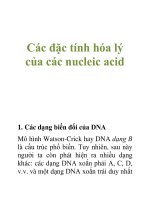 Tài liệu Các đặc tính hóa lý của các nucleic acid docx
