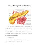 Tài liệu Đông y điều trị bệnh đái tháo đường pdf