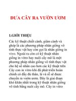 Tài liệu đưa cây ra vườn ươm doc