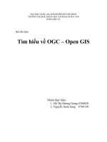 Tài liệu Tiểu luận 