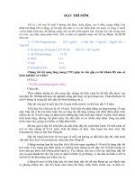 Tài liệu DẬY THÌ SỚM pptx