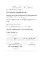 Tài liệu Cấp Giấy phép Sử dụng vật liệu nổ công nghiệp pptx