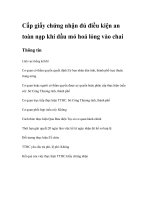 Tài liệu Cấp giấy chứng nhận đủ điều kiện an toàn nạp khí dầu mỏ hoá lỏng vào chai pdf