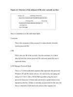 Tài liệu Using Samba-6. Users, Security, and Domains-P3 ppt
