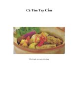 Tài liệu Cà Tím Tay Cầm pdf
